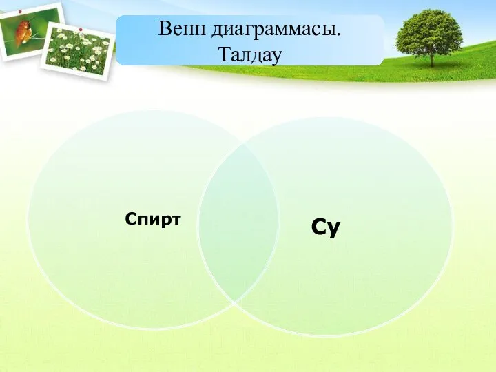 Спирт Су Венн диаграммасы. Талдау