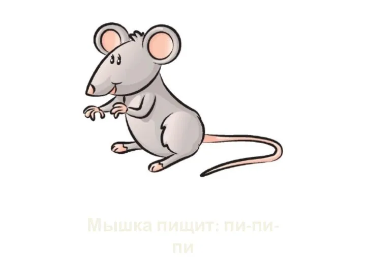 Мышка пищит: пи-пи-пи