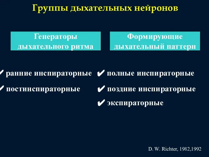 Группы дыхательных нейронов Генераторы дыхательного ритма Формирующие дыхательный паттерн ранние инспираторные постинспираторные