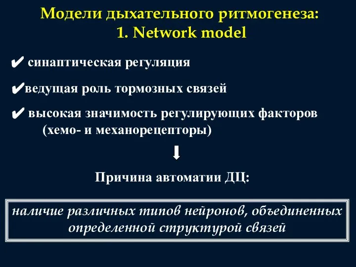 Модели дыхательного ритмогенеза: 1. Network model синаптическая регуляция ведущая роль тормозных связей