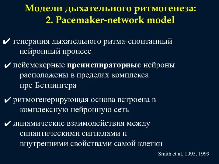 Модели дыхательного ритмогенеза: 2. Pacemaker-network model генерация дыхательного ритма-спонтанный нейронный процесс пейсмекерные