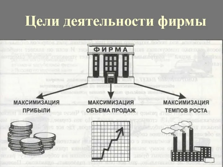 Цели деятельности фирмы