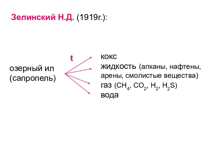 Зелинский Н.Д. (1919г.):