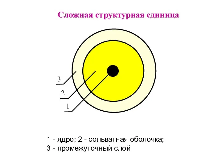 Сложная структурная единица 1 - ядро; 2 - сольватная оболочка; 3 - промежуточный слой