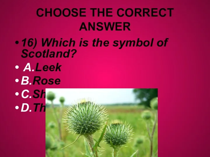 CHOOSE THE CORRECT ANSWER 16) Which is the symbol of Scotland? A.Leek B.Rose C.Shamrock D.Thistle