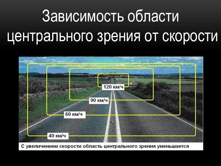 Зависимость области центрального зрения от скорости