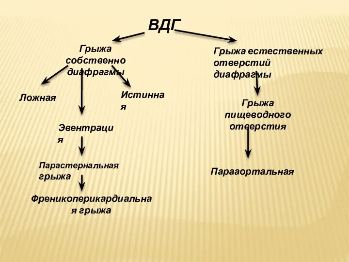 ВДГ Грыжа собственно диафрагмы Грыжа естественных отверстий диафрагмы Ложная Истинная Эвентрация Парастернальная