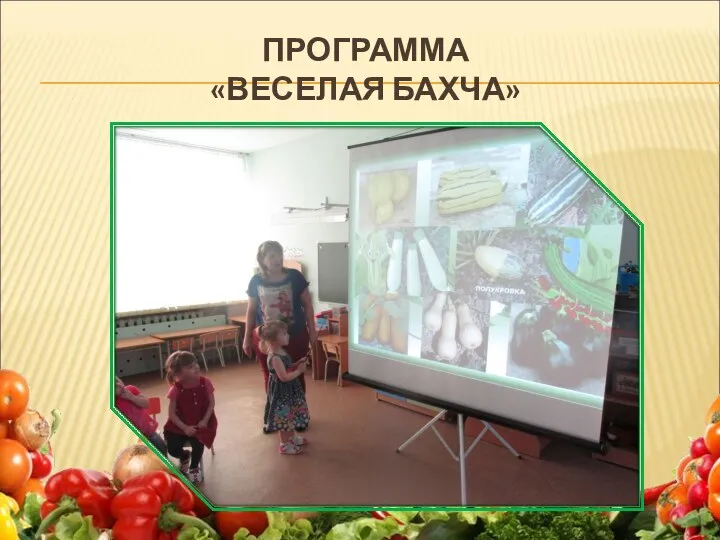 ПРОГРАММА «ВЕСЕЛАЯ БАХЧА»