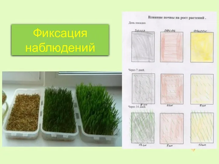 Фиксация наблюдений