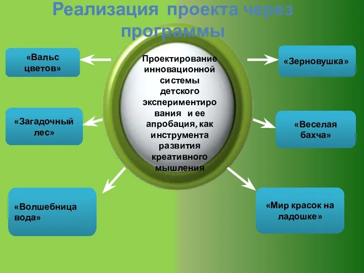 Реализация проекта через программы «Вальс цветов» «Загадочный лес» «Волшебница вода» «Мир красок