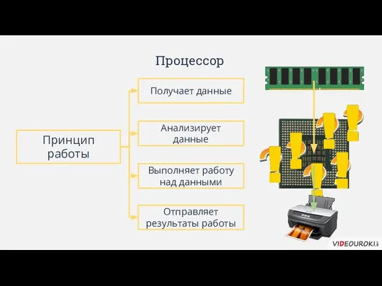 Процессор Принцип работы Получает данные Выполняет работу над данными Анализирует данные Отправляет результаты работы