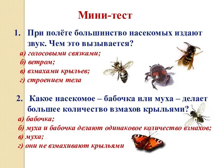 Мини-тест При полёте большинство насекомых издают звук. Чем это вызывается? а) голосовыми