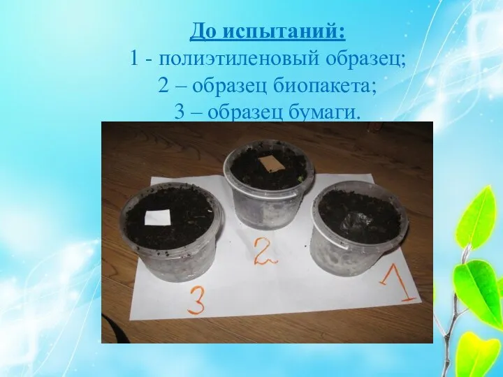 До испытаний: 1 - полиэтиленовый образец; 2 – образец биопакета; 3 – образец бумаги.