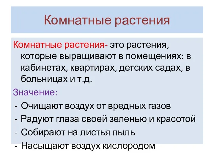 Комнатные растения Комнатные растения- это растения, которые выращивают в помещениях: в кабинетах,