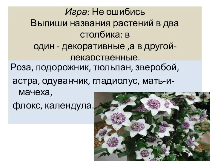 Игра: Не ошибись Выпиши названия растений в два столбика: в один -