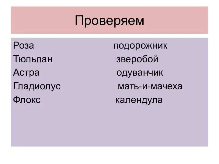 Проверяем Роза подорожник Тюльпан зверобой Астра одуванчик Гладиолус мать-и-мачеха Флокс календула