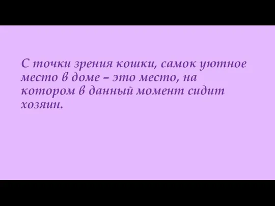 С точки зрения кошки, самок уютное место в доме – это место,