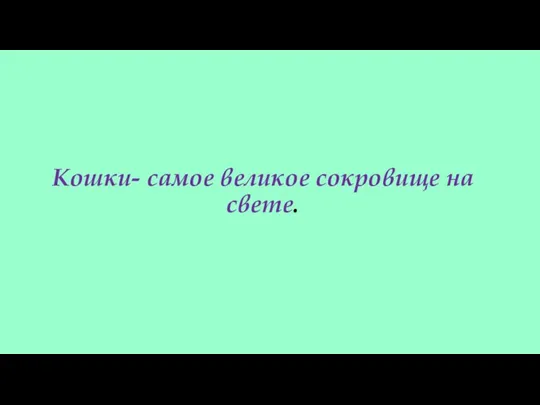 Кошки- самое великое сокровище на свете.