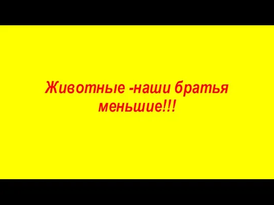 Животные -наши братья меньшие!!!