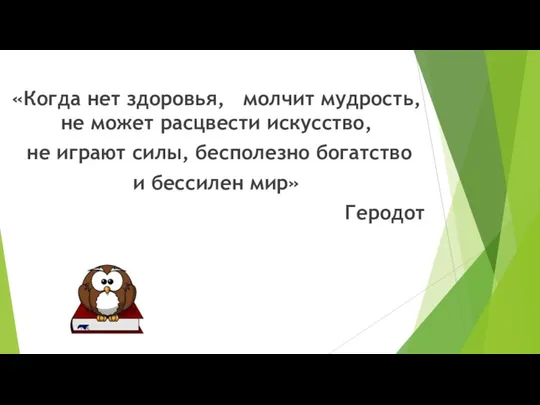 «Когда нет здоровья, молчит мудрость, не может расцвести искусство, не играют силы,