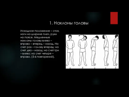 1. Наклоны головы Исходное положение – стоя, ноги на ширине плеч, руки