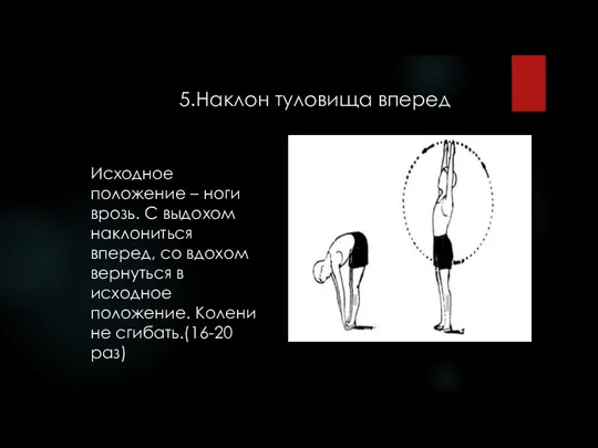 5.Наклон туловища вперед Исходное положение – ноги врозь. С выдохом наклониться вперед,