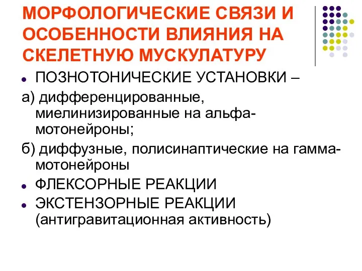 МОРФОЛОГИЧЕСКИЕ СВЯЗИ И ОСОБЕННОСТИ ВЛИЯНИЯ НА СКЕЛЕТНУЮ МУСКУЛАТУРУ ПОЗНОТОНИЧЕСКИЕ УСТАНОВКИ – а)