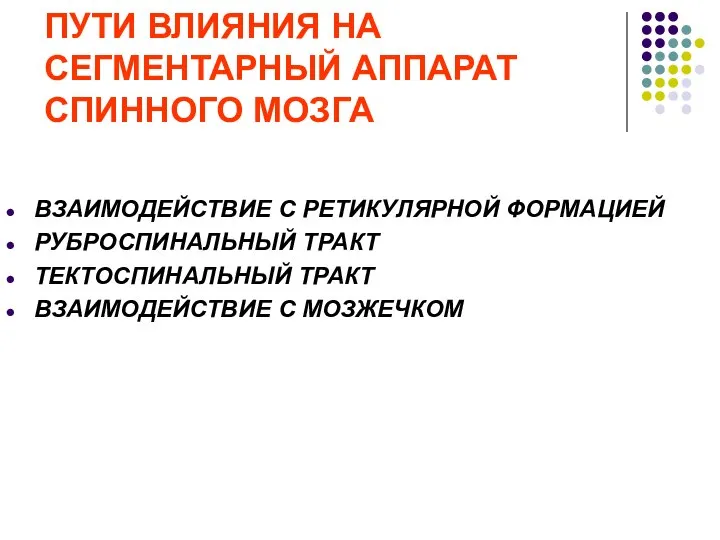 ПУТИ ВЛИЯНИЯ НА СЕГМЕНТАРНЫЙ АППАРАТ СПИННОГО МОЗГА ВЗАИМОДЕЙСТВИЕ С РЕТИКУЛЯРНОЙ ФОРМАЦИЕЙ РУБРОСПИНАЛЬНЫЙ