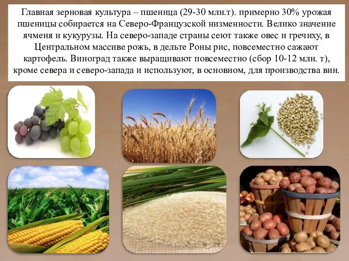 Главная зерновая культура – пшеница (29-30 млн.т). примерно 30% урожая пшеницы собирается