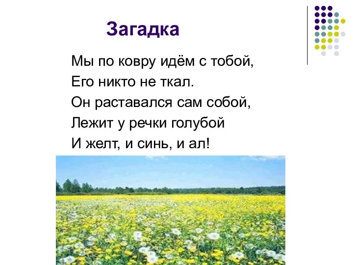 Загадка Мы по ковру идём с тобой, Его никто не ткал. Он