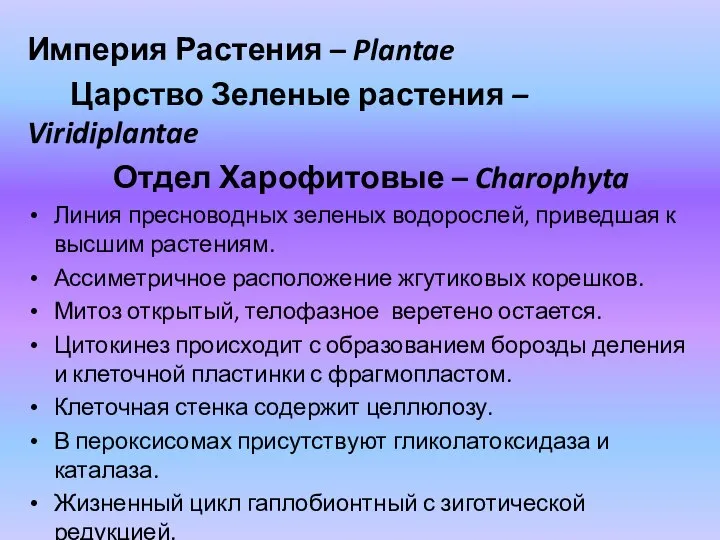 Империя Растения – Plantae Царство Зеленые растения – Viridiplantae Отдел Харофитовые –