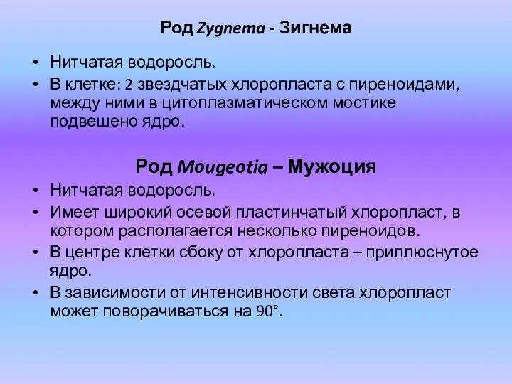 Род Zygnema - Зигнема Нитчатая водоросль. В клетке: 2 звездчатых хлоропласта с