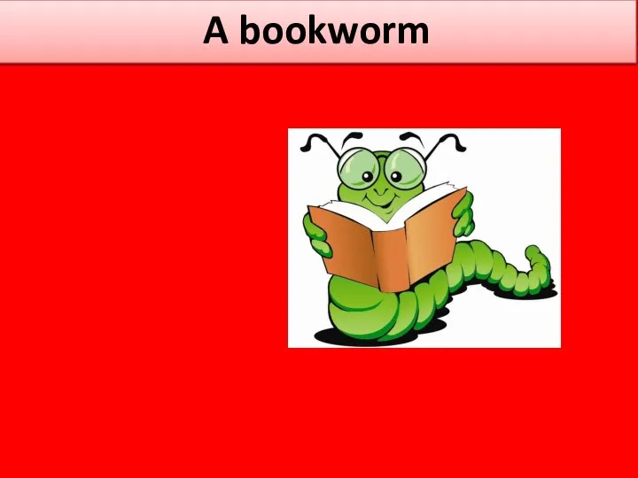 A bookworm