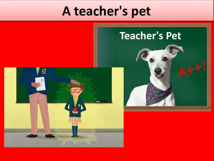A teacher's pet