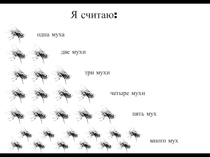 Я считаю: одна муха две мухи три мухи четыре мухи пять мух много мух