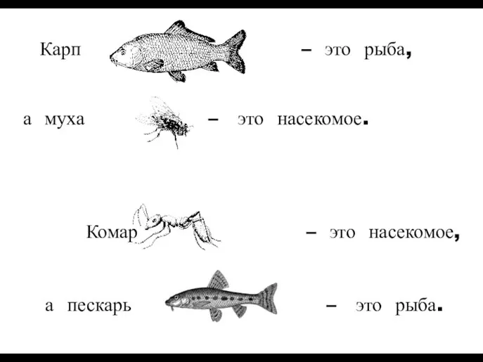 а муха – это насекомое. а пескарь – это рыба. Карп –