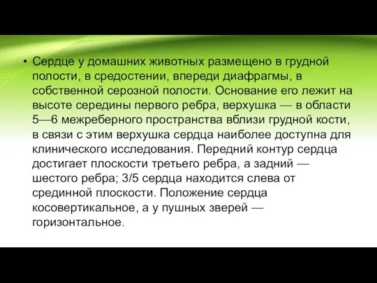 Сердце у домашних животных размещено в грудной полости, в средостении, впереди диафрагмы,