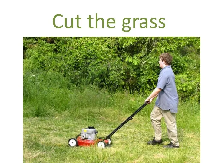 Cut the grass