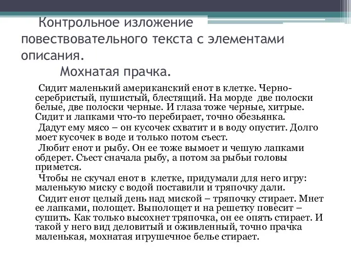 Контрольное изложение повествовательного текста с элементами описания. Мохнатая прачка. Сидит маленький американский