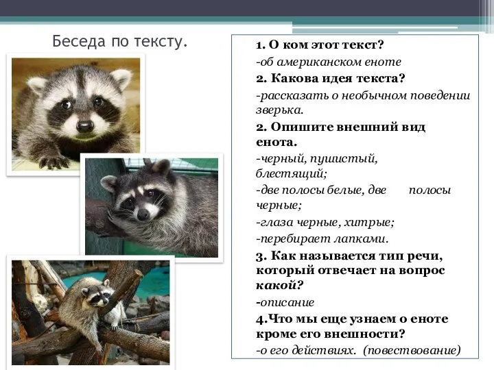 Беседа по тексту. 1. О ком этот текст? -об американском еноте 2.