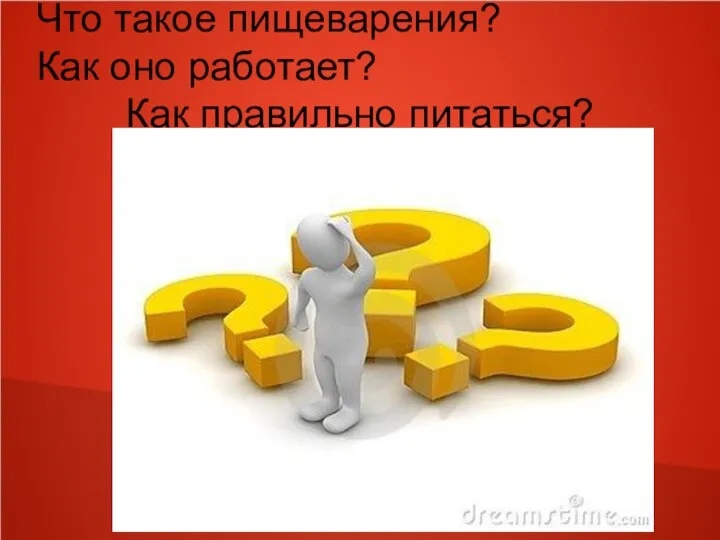 Что такое пищеварения? Как оно работает? Как правильно питаться?