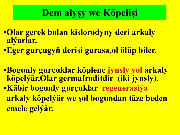 Dem alyşy we Köpelişi Olar gerek bolan kislorodyny deri arkaly alýarlar. Eger