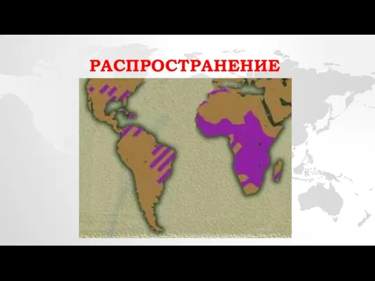 РАСПРОСТРАНЕНИЕ