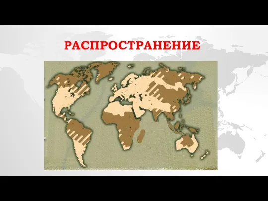 РАСПРОСТРАНЕНИЕ