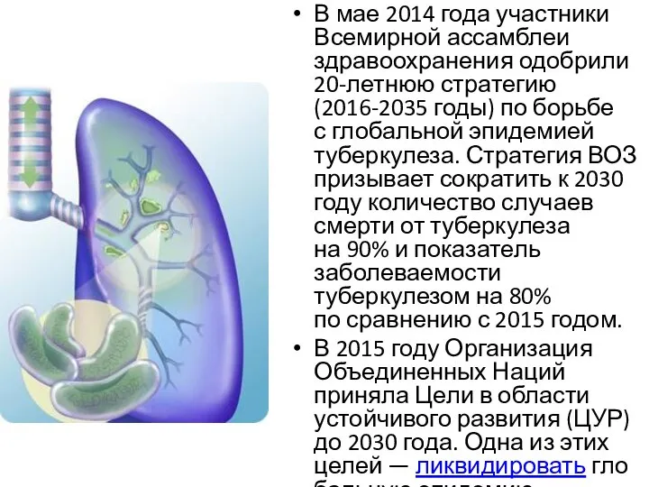 В мае 2014 года участники Всемирной ассамблеи здравоохранения одобрили 20-летнюю стратегию (2016-2035