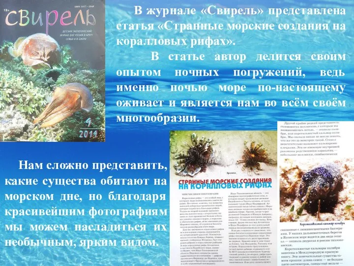 В журнале «Свирель» представлена статья «Странные морские создания на коралловых рифах». В