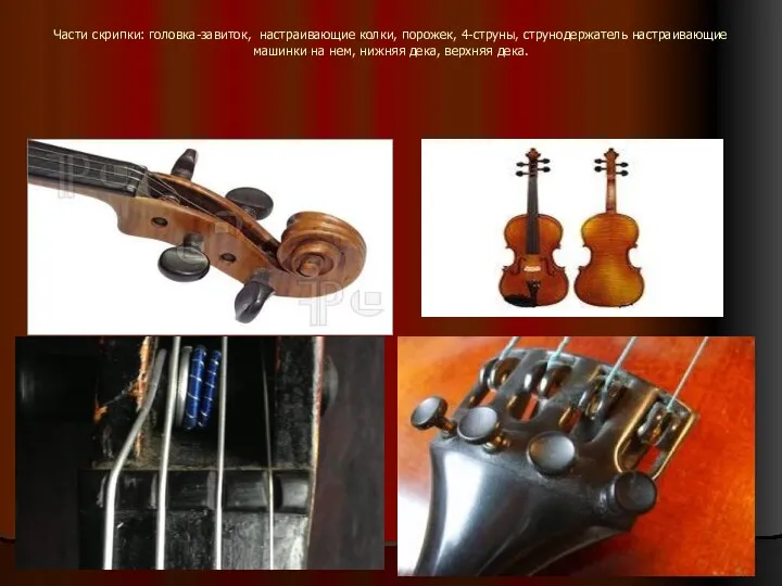 Части скрипки: головка-завиток, настраивающие колки, порожек, 4-струны, струнодержатель настраивающие машинки на нем, нижняя дека, верхняя дека.