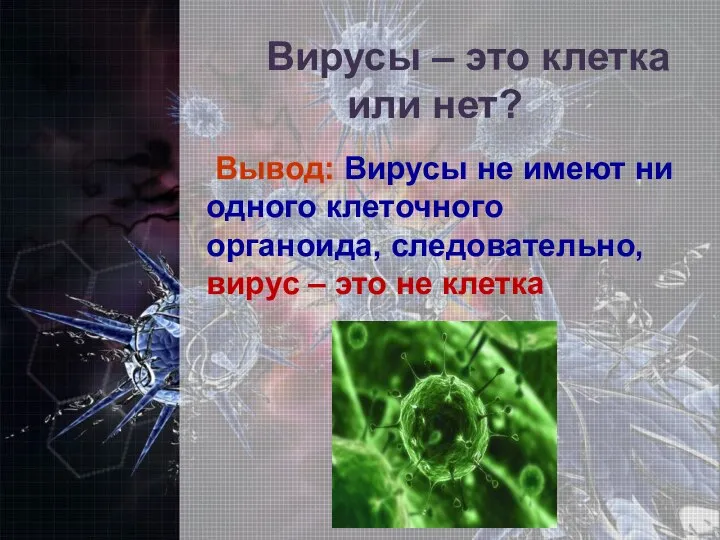 Вывод: Вирусы не имеют ни одного клеточного органоида, следовательно, вирус – это