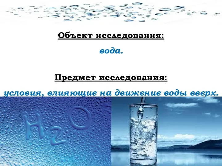 Объект исследования: вода. Предмет исследования: условия, влияющие на движение воды вверх.