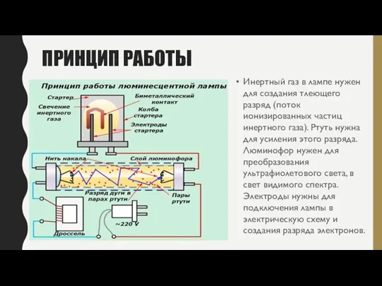 ПРИНЦИП РАБОТЫ Инертный газ в лампе нужен для создания тлеющего разряд (поток